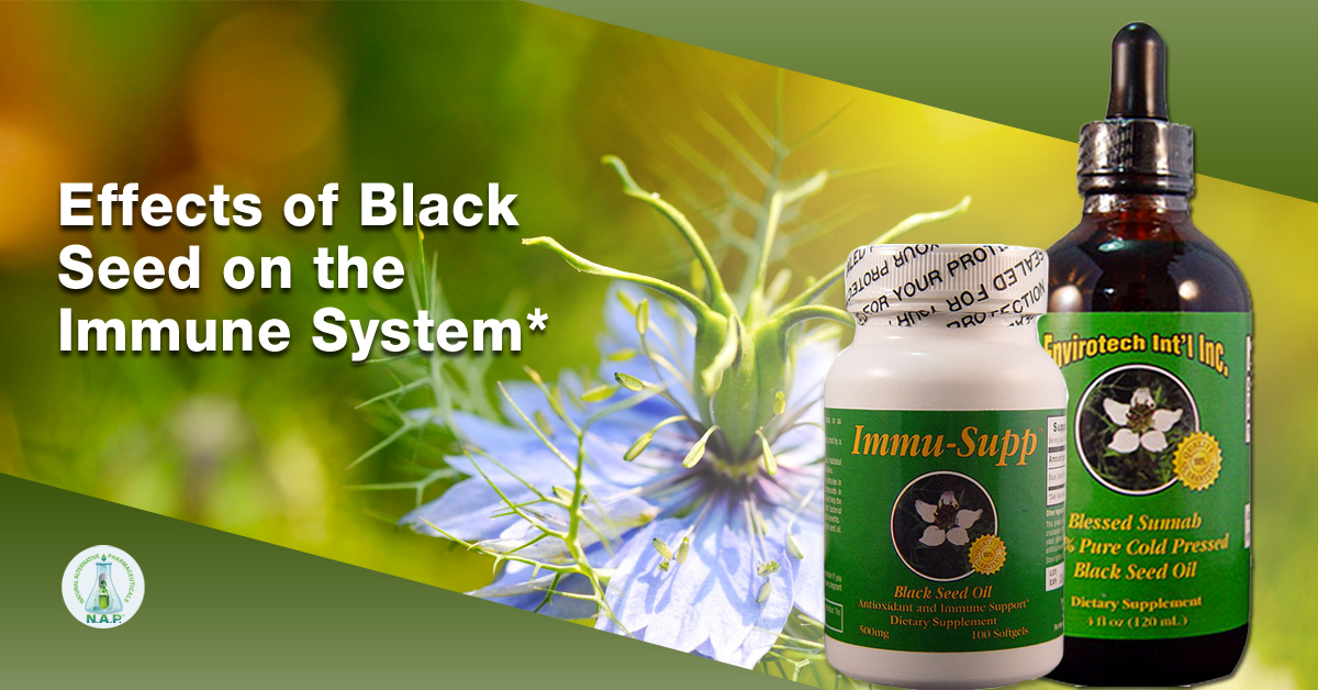 Effects of Black Seed on the Immune System.